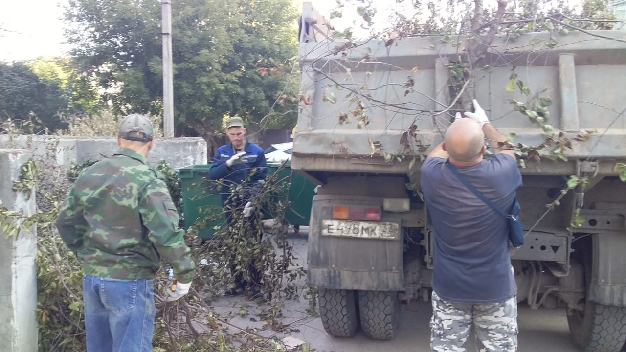 Вывоз древесных отходов