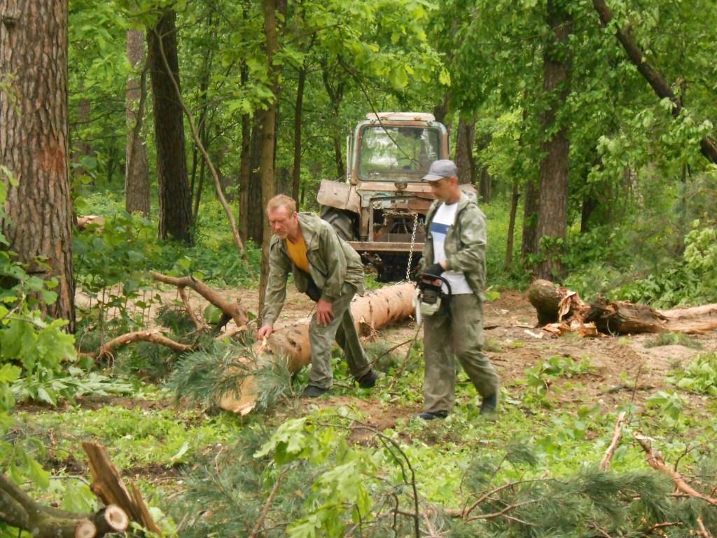 В Солотче проводятся работы по устранению последствий ураганного ветра