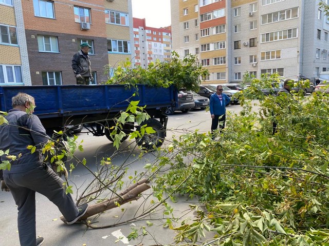 В Московском районе продолжаются работы в рамках месячника по благоустройству и санитарной очистке территории города Рязани 06.10.2023