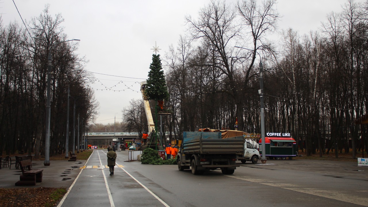 В Рязани началась установка новогодних елей