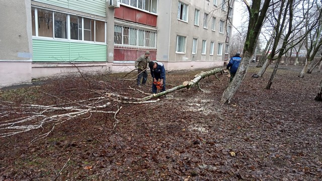 Весенний месячник 2022 по благоустройству и санитарной очистке территории города Рязани 15.04.2022