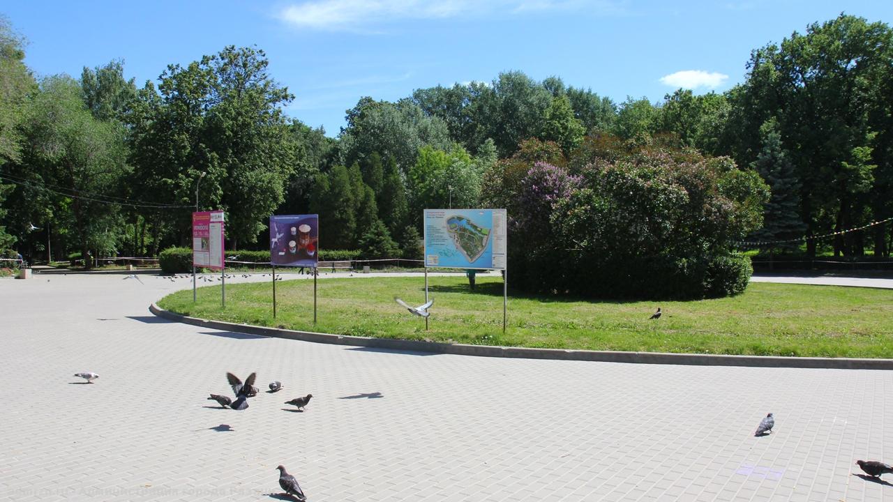 Парк цпкио рязань фото Жилье и городская среда": в ЦПКиО проводятся работы по устройству освещения