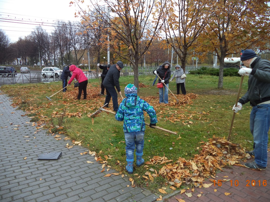 В Московском районе прошел общегородской субботник 17.10.2016