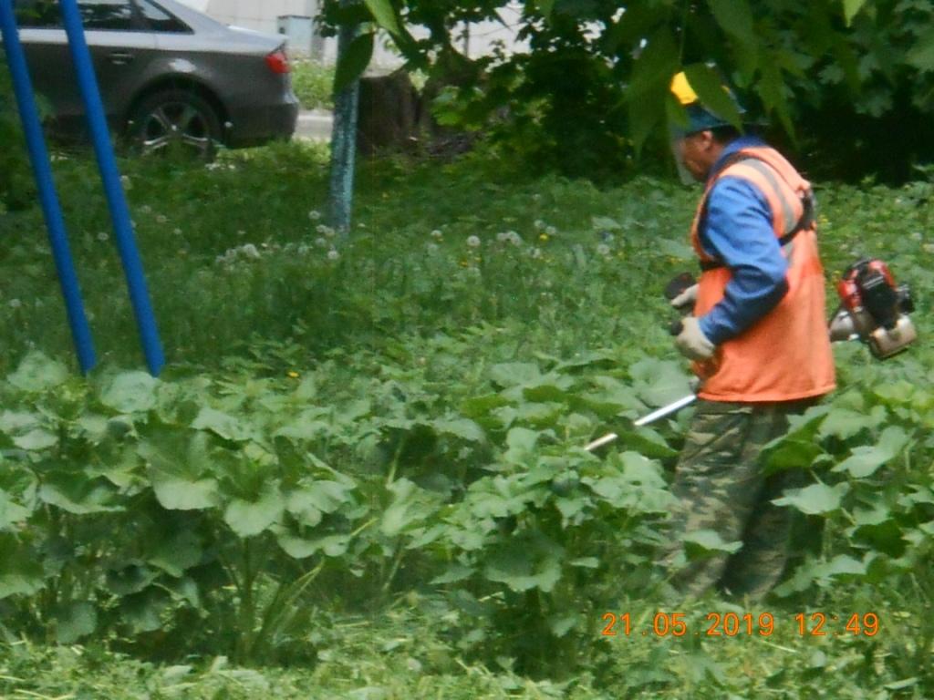 В Советском районе приступили к работам по окосу травы на дворовых территориях многоквартирных домов