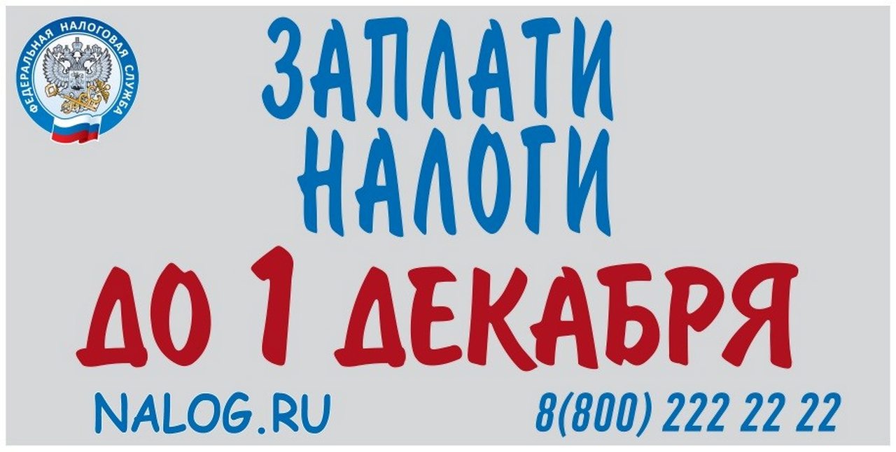 1 декабря — срок уплаты имущественных налогов 28.09.2021