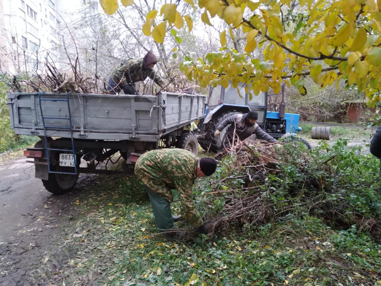 Вывоз древесных отходов