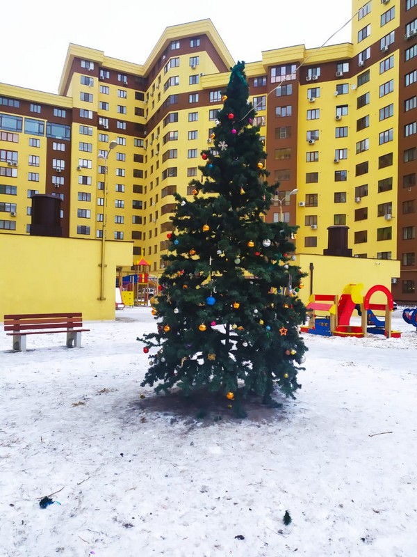 Установка Новогодних ёлок на дворовых территориях многоквартирных домов 21.12.2020